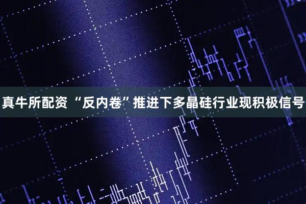 真牛所配资 “反内卷”推进下多晶硅行业现积极信号