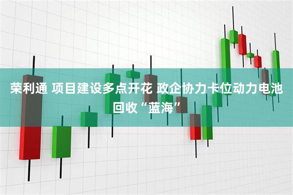 荣利通 项目建设多点开花 政企协力卡位动力电池回收“蓝海”