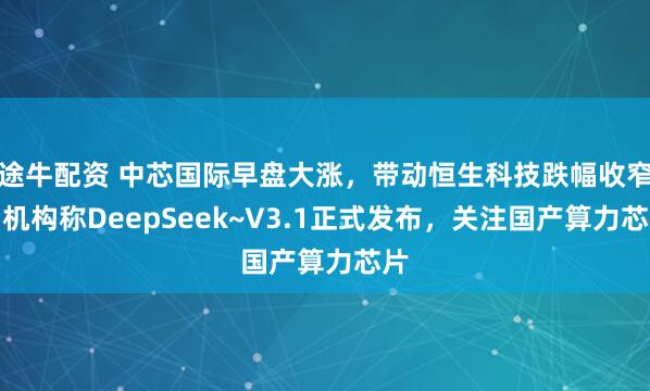 途牛配资 中芯国际早盘大涨，带动恒生科技跌幅收窄！机构称DeepSeek~V3.1正式发布，关注国产算力芯片
