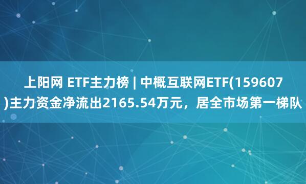 上阳网 ETF主力榜 | 中概互联网ETF(159607)主力资金净流出2165.54万元，居全市场第一梯队