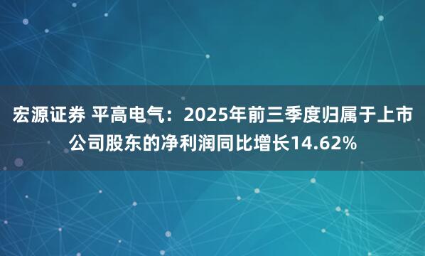 宏源证券 平高电气：2025年前三季度归属于上市公司股东的净利润同比增长14.62%