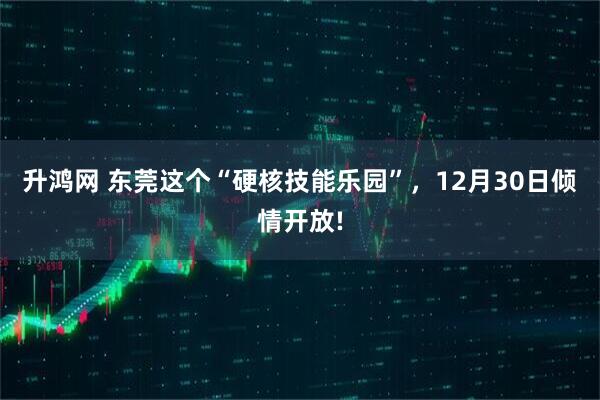 升鸿网 东莞这个“硬核技能乐园”，12月30日倾情开放!