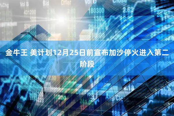 金牛王 美计划12月25日前宣布加沙停火进入第二阶段