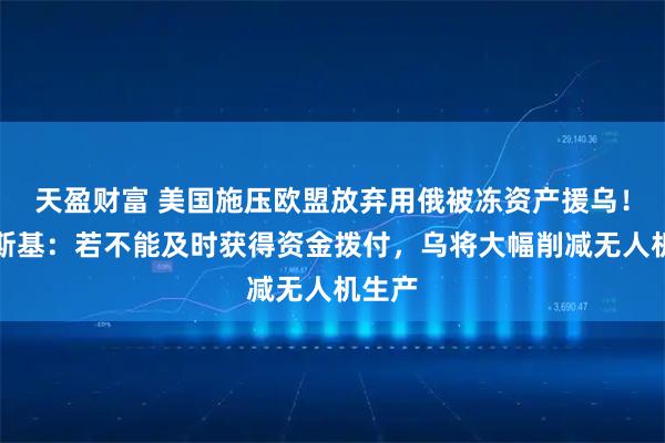 天盈财富 美国施压欧盟放弃用俄被冻资产援乌！泽连斯基：若不能及时获得资金拨付，乌将大幅削减无人机生产